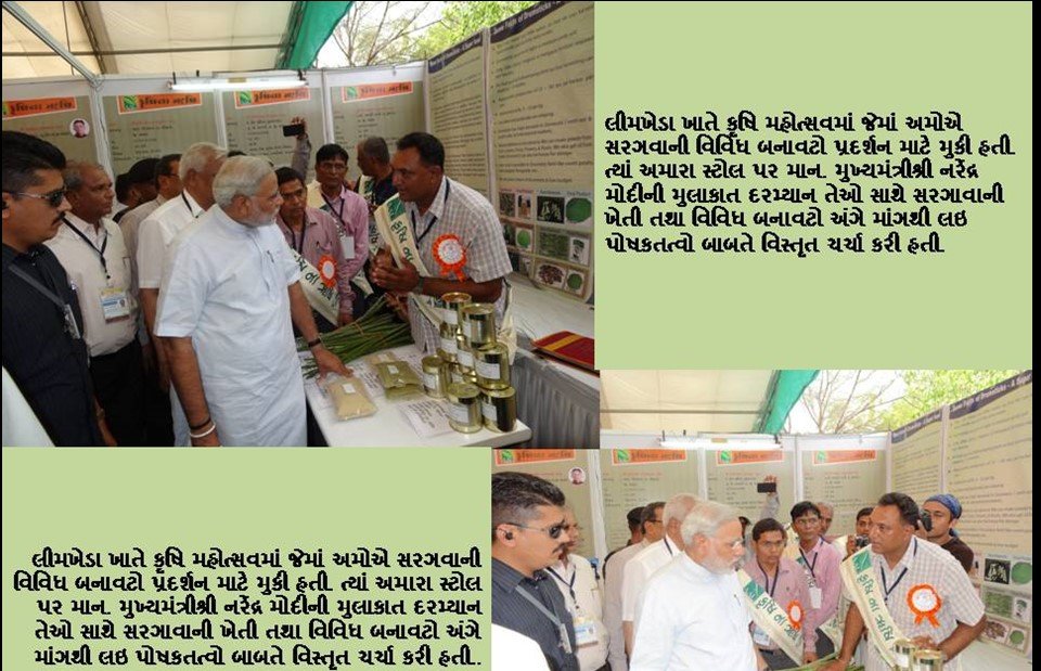 Krishi Mahotsav, Limkheda
