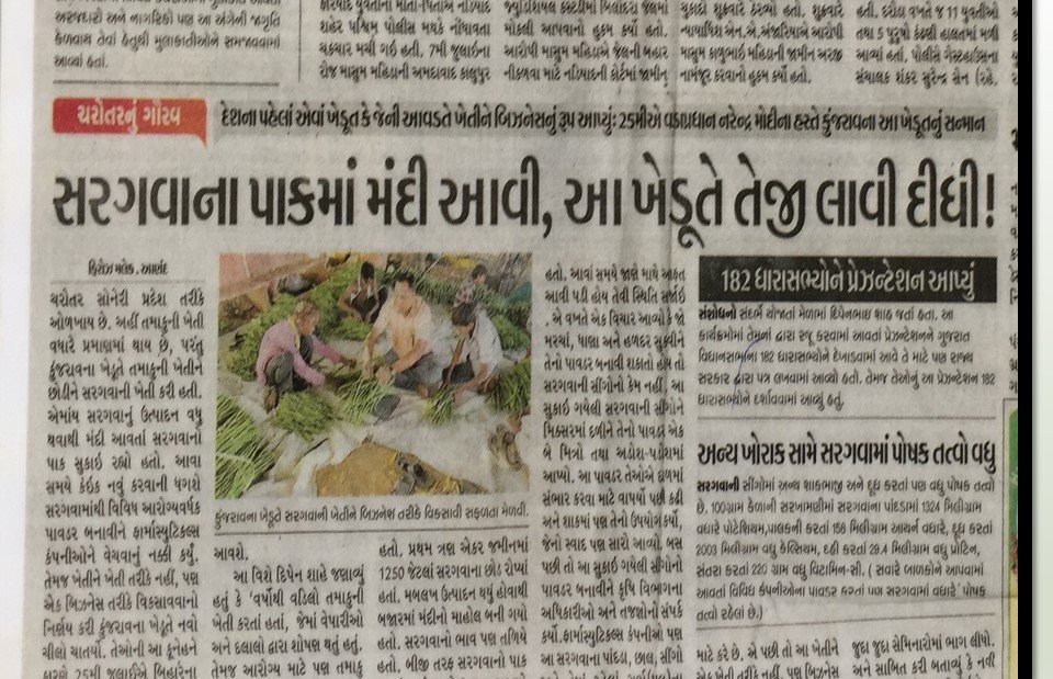 Gujarati Daily Feature