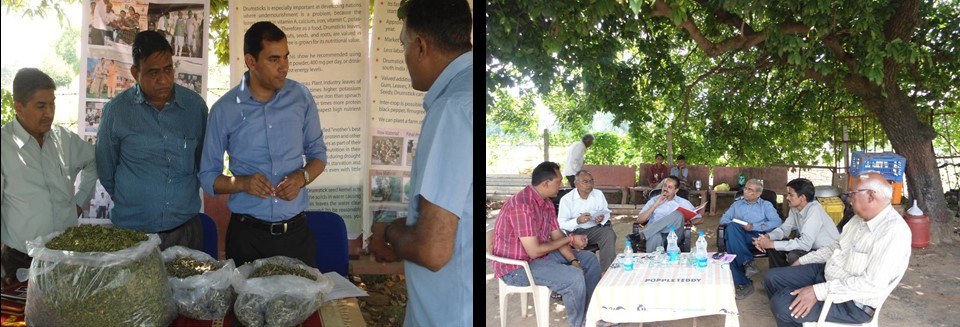 Seminars & Field Meetings