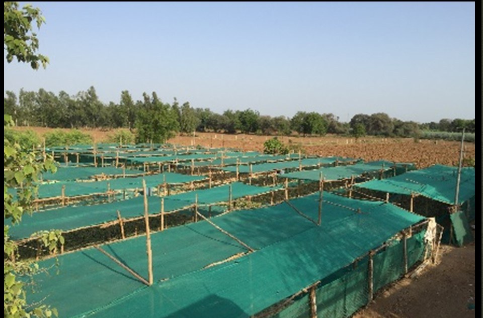 Pushpam farm, Anand